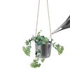 Eva Solo - Eva Solo Selfwatering Pot
