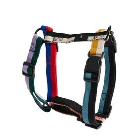HAY - Harnais pour chien M
