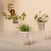 OK Design - Cibele - Bloempot