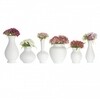 Schönbuch - Blossom Vasen 6er-Set - weiß/Ø7cm H:13cm/Ø8cm H:8cm//Ø6cm H:11,5 cm/Ø8cm H:9cm//Ø5cm H:7,5cm/Ø4,5cm H:11cm