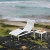 Knoll International - 1966-41 Richard Schultz - Chaise longue