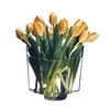 iittala - Alvar Aalto Vase 120mm