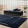 ClassiCon - Day Bed Eileen Gray
