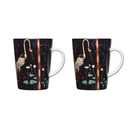 iittala - Jubileumsactie 15 jaar Taika beker set van 2