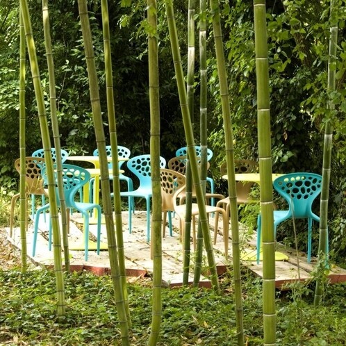 Moroso - Supernatural Stuhl 4er Set