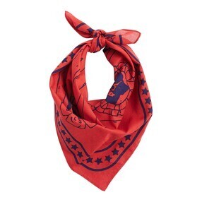 HAY - Dog Scarf 55x55cm