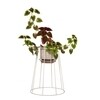 OK Design - Cibele - Bloempot