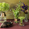 Tom Dixon - Tank Stem Vase